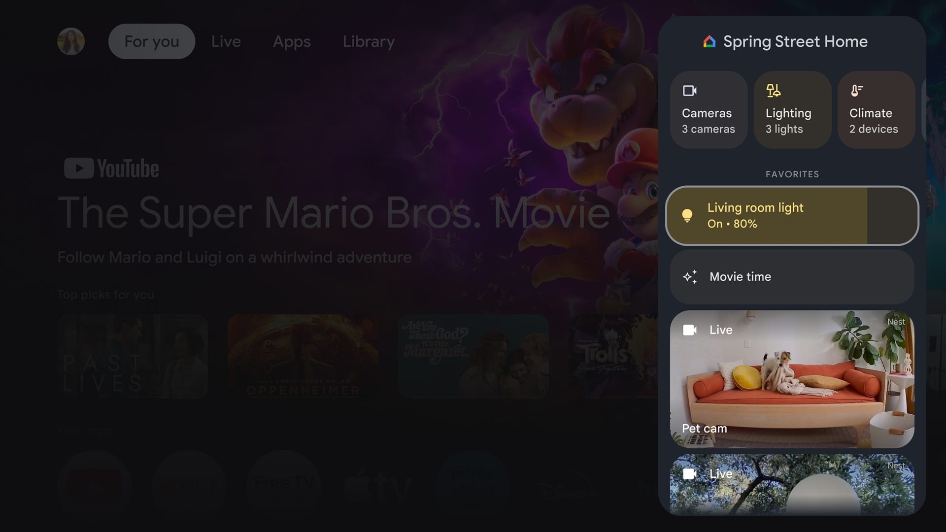 The new Smart Home Control Panel on the Google TV Streamer