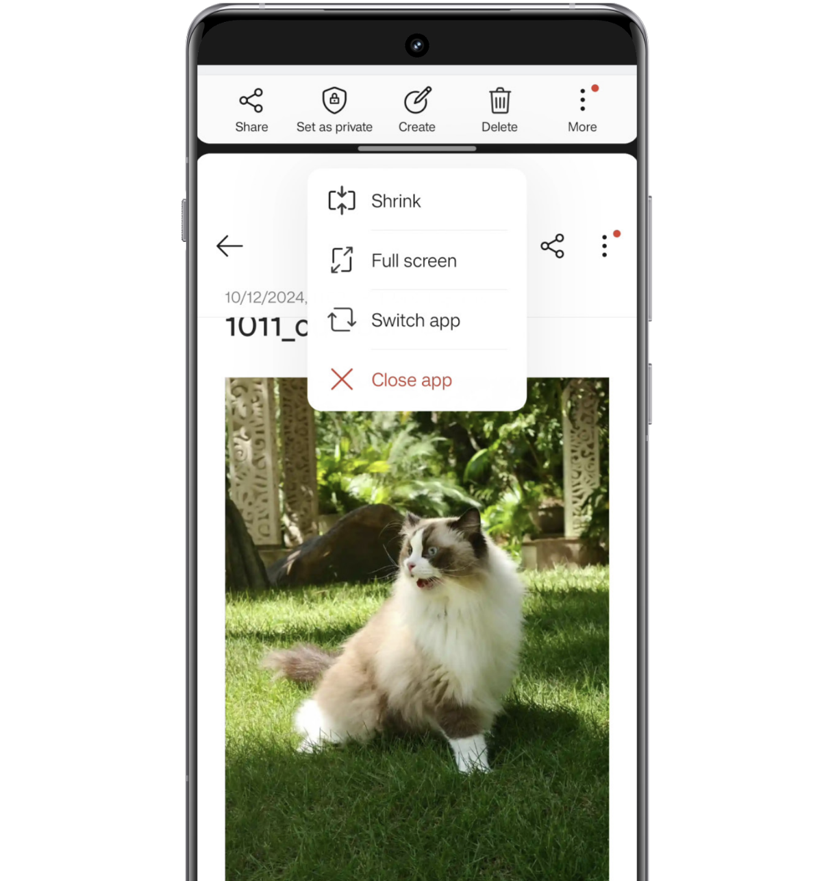 Open_Canvas_in_OxygenOS_15_for_phones.png